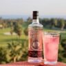 A pink gin cocktail in a coupe glass with rose petals and ice, showcasing the delicate blush colour of pink gin