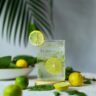 Vodka lemon lime bitters cocktail in a tall glass with ice, lemon wedge and a straw, on a sunny NZ spring table setting